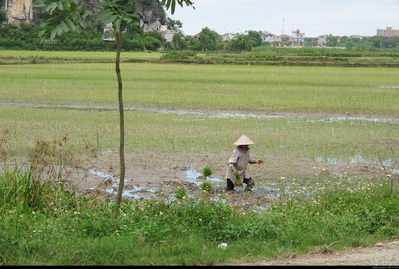 Vietnam - Cambodge - 0413.JPG